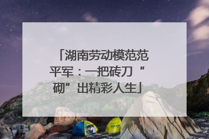 湖南劳动模范范平军：一把砖刀“砌”出精彩人生