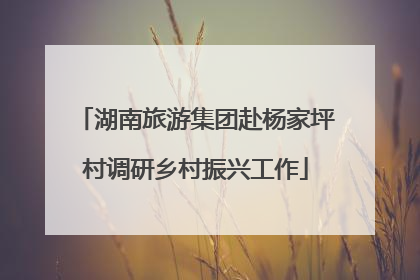 湖南旅游集团赴杨家坪村调研乡村振兴工作