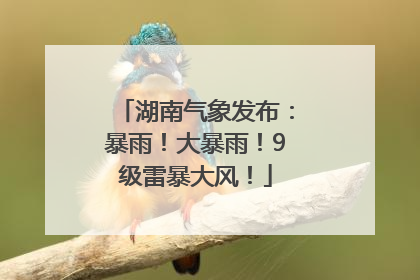 湖南气象发布：暴雨！大暴雨！9级雷暴大风！