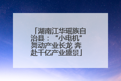 湖南江华瑶族自治县：“小电机”舞动产业长龙 奔赴千亿产业盛景