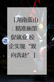 湖南蓝山：精准施策促就业 校企实现“双向奔赴”