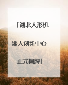 湖北人形机器人创新中心正式揭牌