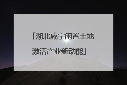 湖北咸宁闲置土地激活产业新动能