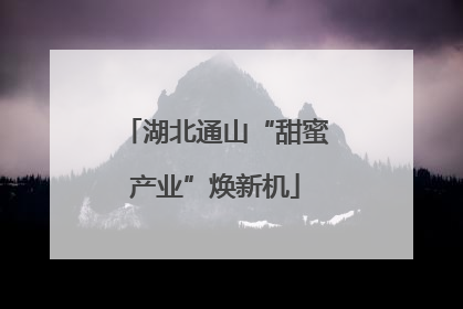 湖北通山“甜蜜产业”焕新机