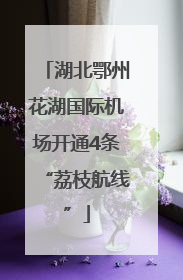 湖北鄂州花湖国际机场开通4条“荔枝航线”