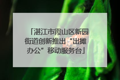 湛江市霞山区新园街道创新推出“出摊办公”移动服务台