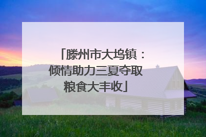 滕州市大坞镇：倾情助力三夏夺取粮食大丰收
