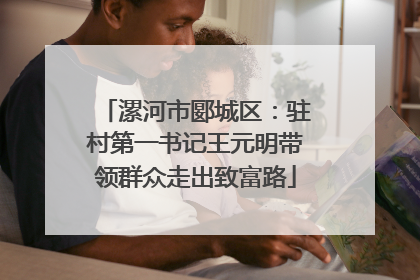 漯河市郾城区：驻村第一书记王元明带领群众走出致富路