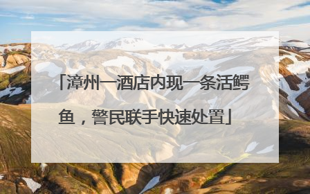 漳州一酒店内现一条活鳄鱼，警民联手快速处置
