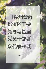 漳州台商投资区主要领导与基层党员干部群众代表座谈