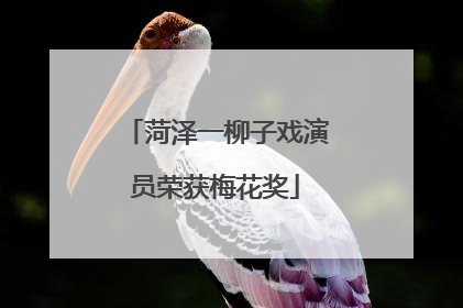 菏泽一柳子戏演员荣获梅花奖