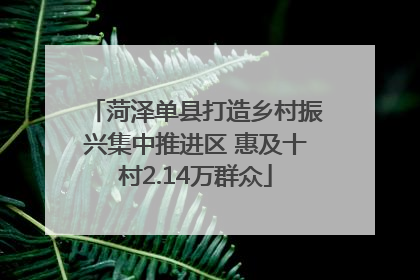 菏泽单县打造乡村振兴集中推进区 惠及十村2.14万群众