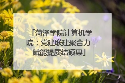 菏泽学院计算机学院：党建联建聚合力 赋能提质结硕果