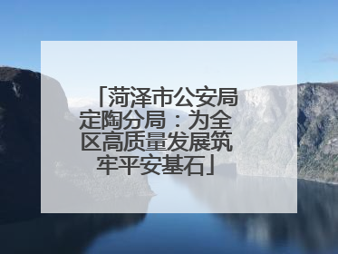 菏泽市公安局定陶分局：为全区高质量发展筑牢平安基石