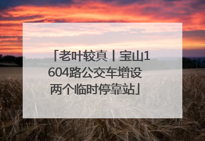 老叶较真丨宝山1604路公交车增设两个临时停靠站
