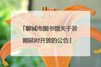 聊城市图书馆关于暑期延时开放的公告
