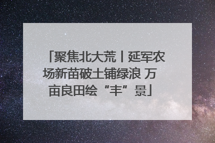 聚焦北大荒丨延军农场新苗破土铺绿浪 万亩良田绘“丰”景