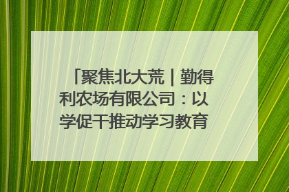 聚焦北大荒｜勤得利农场有限公司：以学促干推动学习教育“升温提速”