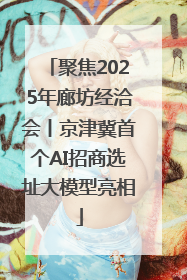 聚焦2025年廊坊经洽会丨京津冀首个AI招商选址大模型亮相