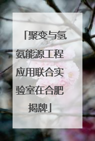 聚变与氢氨能源工程应用联合实验室在合肥揭牌