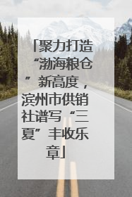 聚力打造“渤海粮仓”新高度，滨州市供销社谱写“三夏”丰收乐章