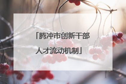 腾冲市创新干部人才流动机制