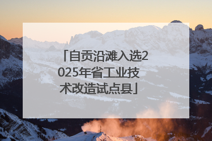 自贡沿滩入选2025年省工业技术改造试点县