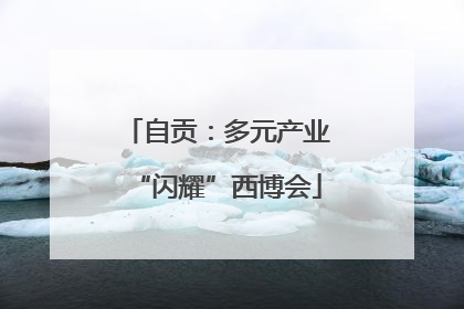 自贡：多元产业“闪耀”西博会