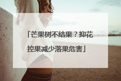 芒果树不结果？抑花控果减少落果危害