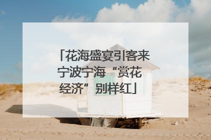 花海盛宴引客来 宁波宁海“赏花经济”别样红