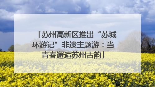 苏州高新区推出“苏城环游记”非遗主题游：当青春邂逅苏州古韵
