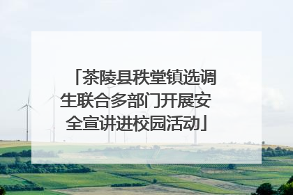 茶陵县秩堂镇选调生联合多部门开展安全宣讲进校园活动