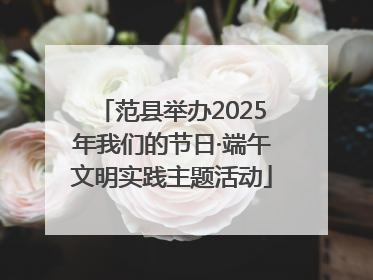 范县举办2025年我们的节日·端午文明实践主题活动