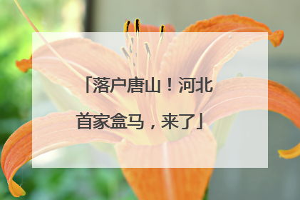 落户唐山！河北首家盒马，来了