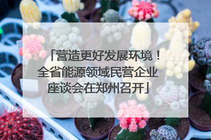 营造更好发展环境！全省能源领域民营企业座谈会在郑州召开