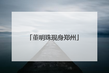 董明珠现身郑州