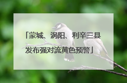 蒙城、涡阳、利辛三县发布强对流黄色预警
