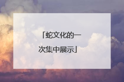 蛇文化的一次集中展示