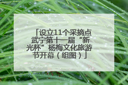 设立11个采摘点 武宁第十一届“新光杯”杨梅文化旅游节开幕（组图）
