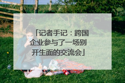 记者手记：跨国企业参与了一场别开生面的交流会