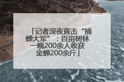 记者深夜直击“捕蝉大军”：百亩树林一晚200余人收获金蝉200余斤