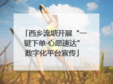 西乡流塘开展“一键下单·心愿速达”数字化平台宣传