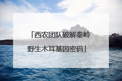 西农团队破解秦岭野生木耳基因密码