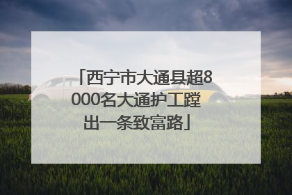 西宁市大通县超8000名大通护工蹚出一条致富路