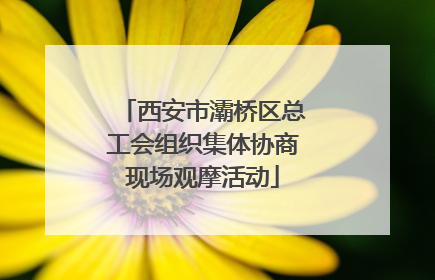 西安市灞桥区总工会组织集体协商现场观摩活动