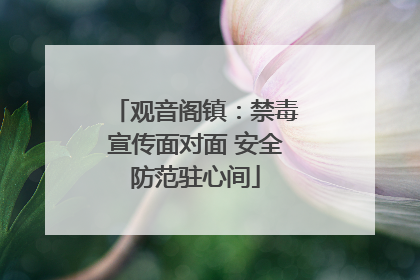 观音阁镇：禁毒宣传面对面 安全防范驻心间