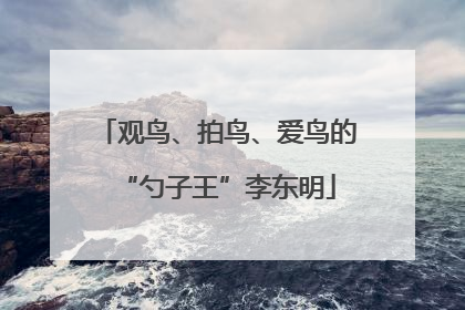 观鸟、拍鸟、爱鸟的“勺子王”李东明