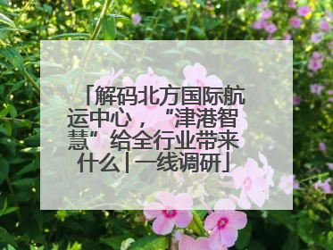 解码北方国际航运中心，“津港智慧”给全行业带来什么│一线调研