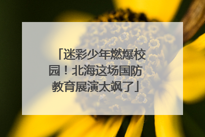 迷彩少年燃爆校园！北海这场国防教育展演太飒了