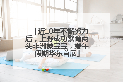 近10年不懈努力后，上野成功繁育两头非洲象宝宝，端午假期华东首展